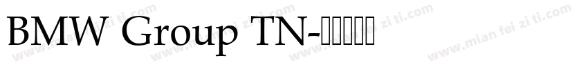 BMW Group TN字体转换